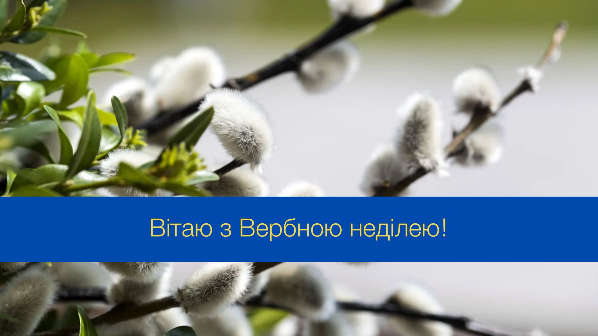 Привітання з Вербною неділею - фото 1