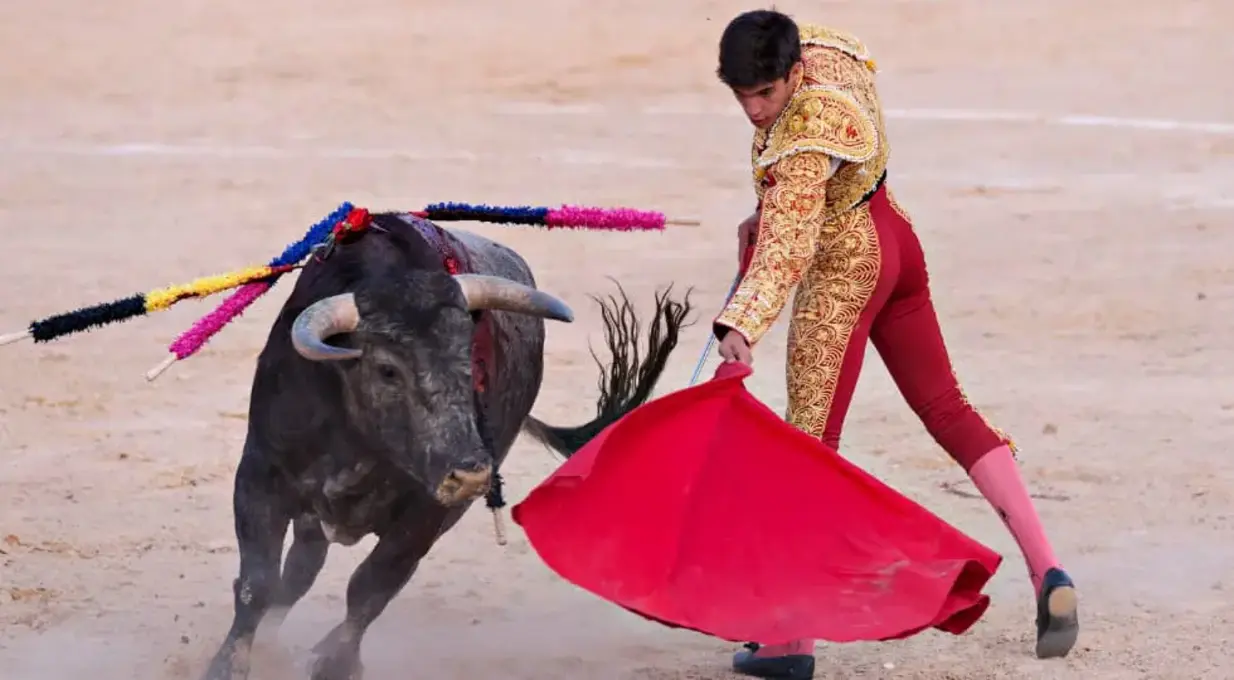 Корида - фото 1