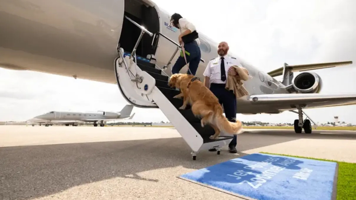 Перша у світі авіакомпанія для собак - фото 1