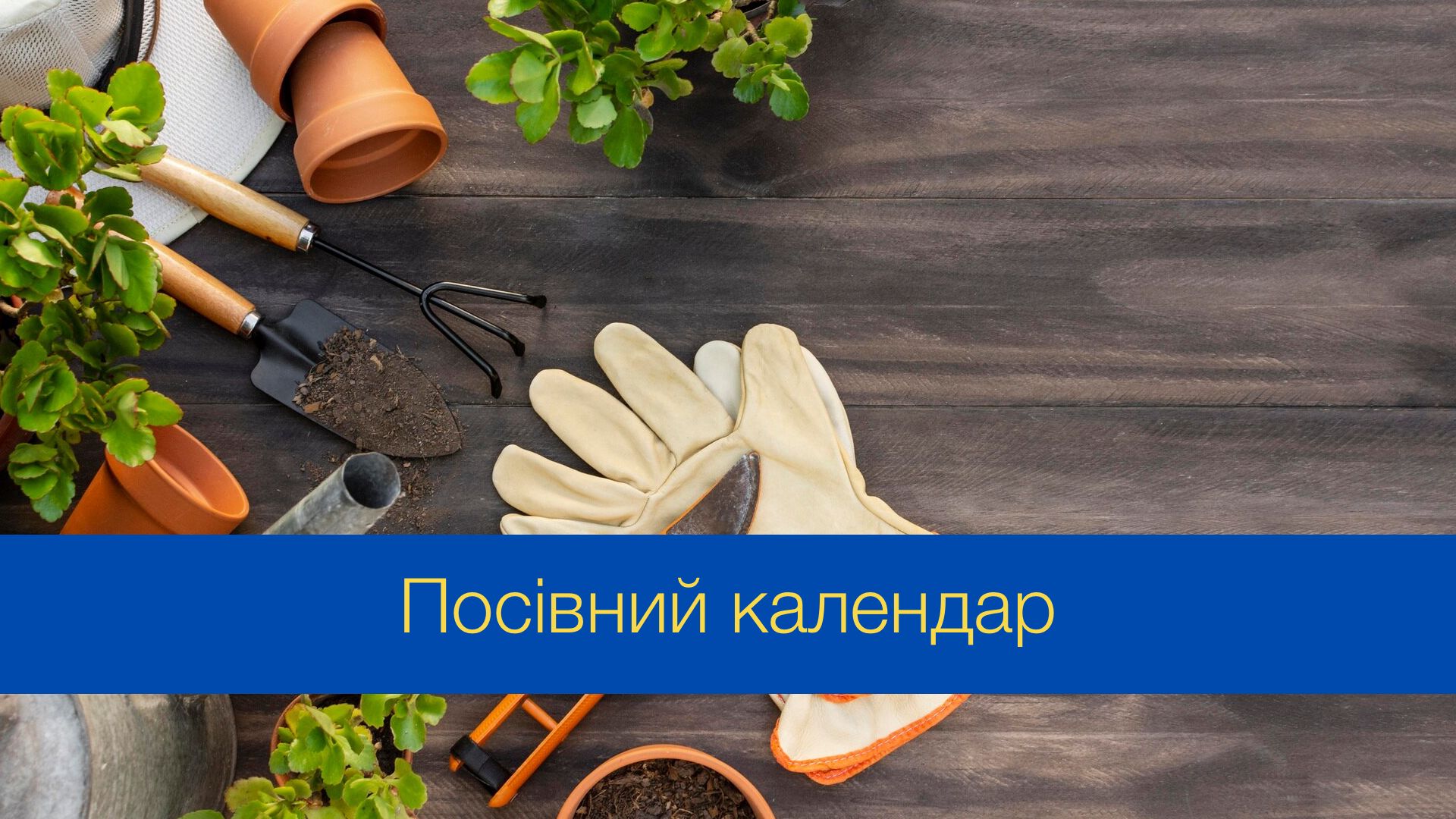 Місячний посівний календар на червень 2024 – коли і що садити