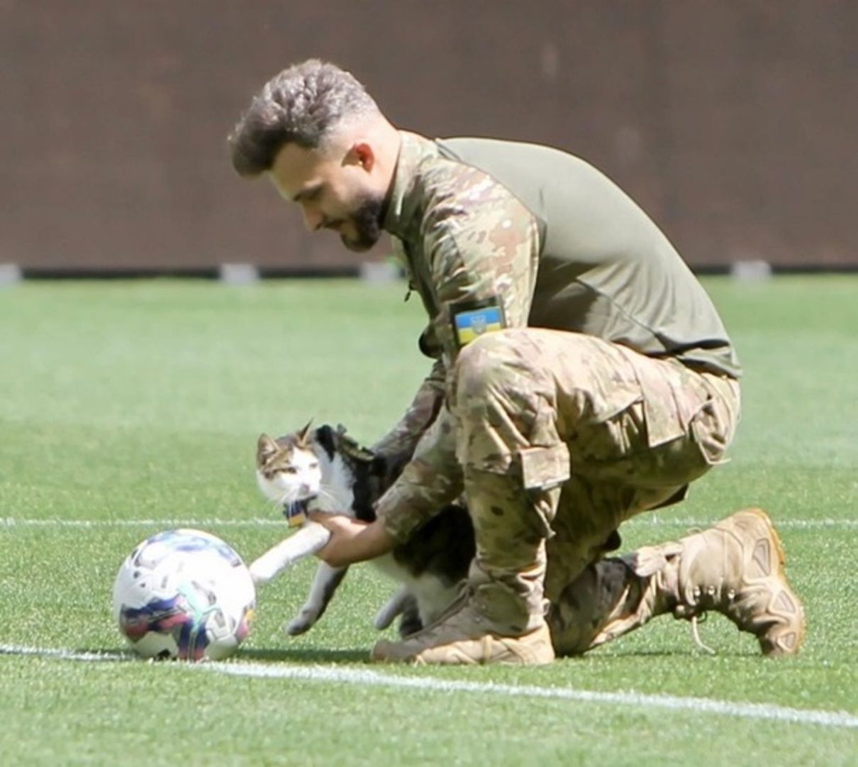 Кіт Шайба з опікуном відвідав Львів та відкрив футбольний матч