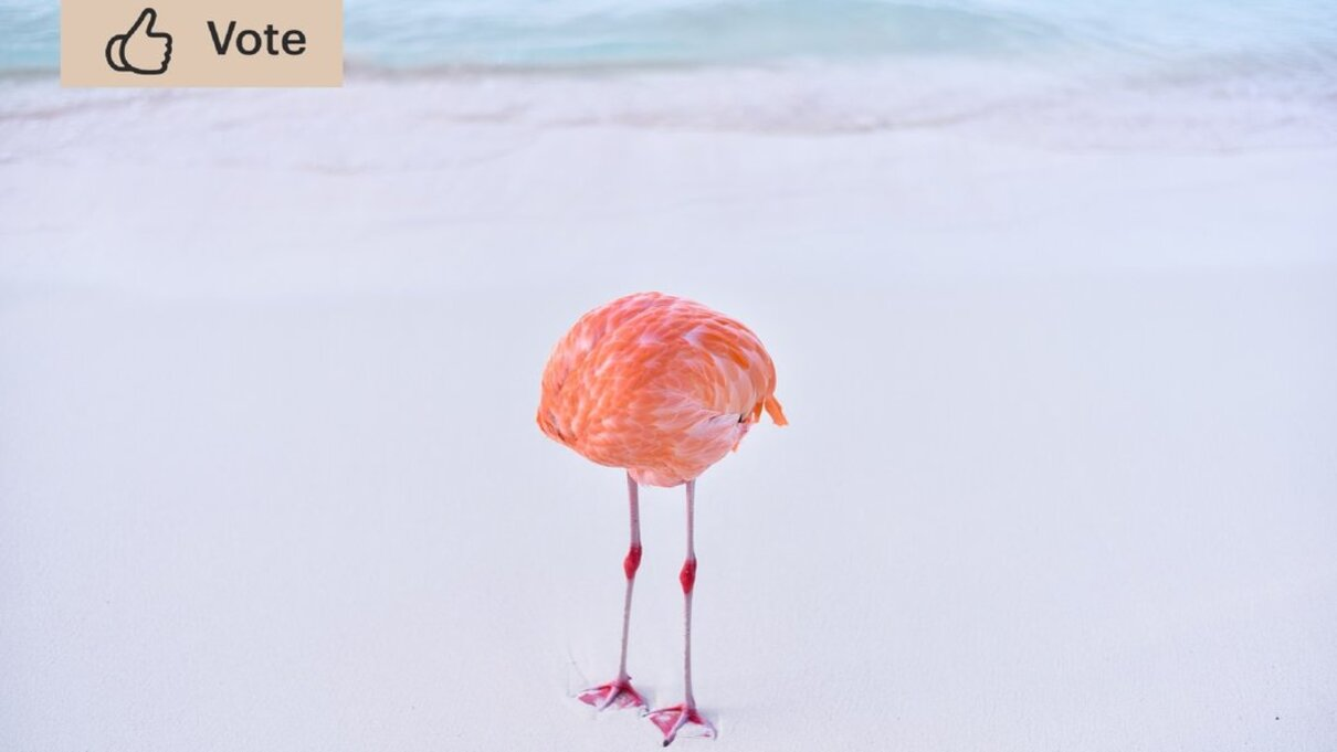 Конкурсне фото - фото 1