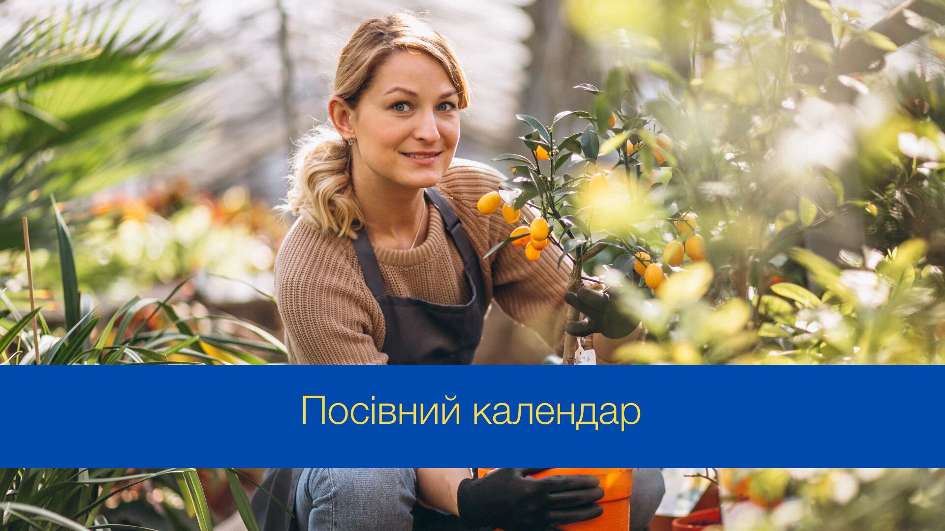 Посівний календар на липень 2024 - фото 1