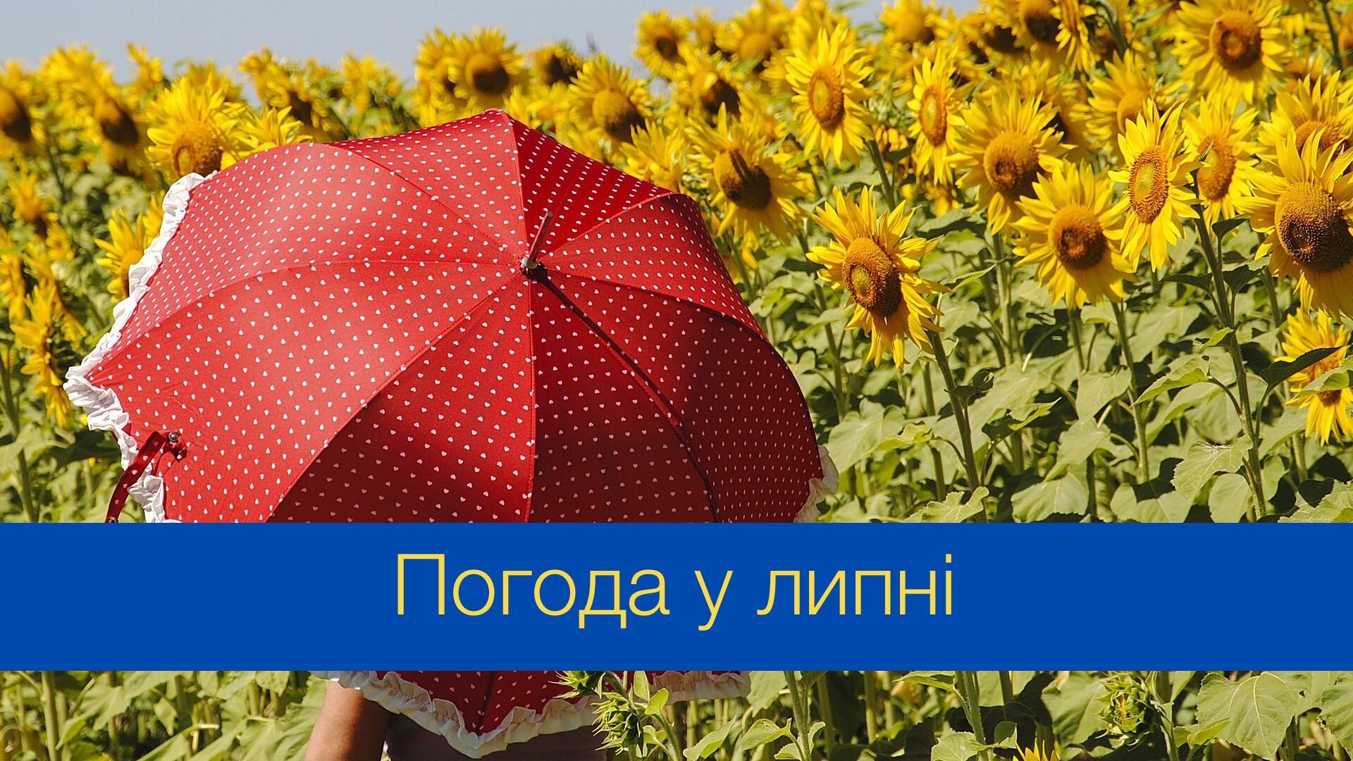 Погода у липні 2024 в Україні – прогноз синоптиків на місяць