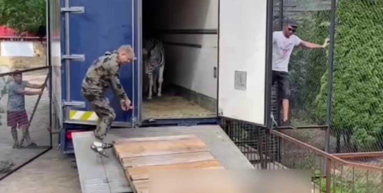 Росіяни незаконно вивозять з заповідника "Асканія-Нова" екзотичних тварин