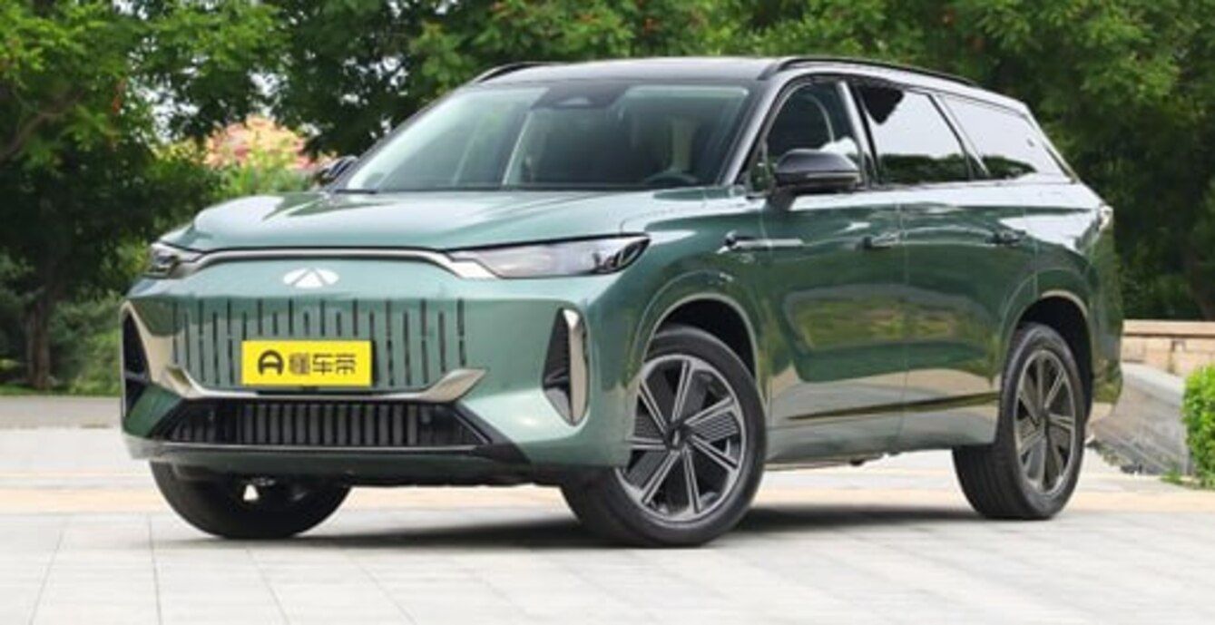 Гібридна новинка - фото 1