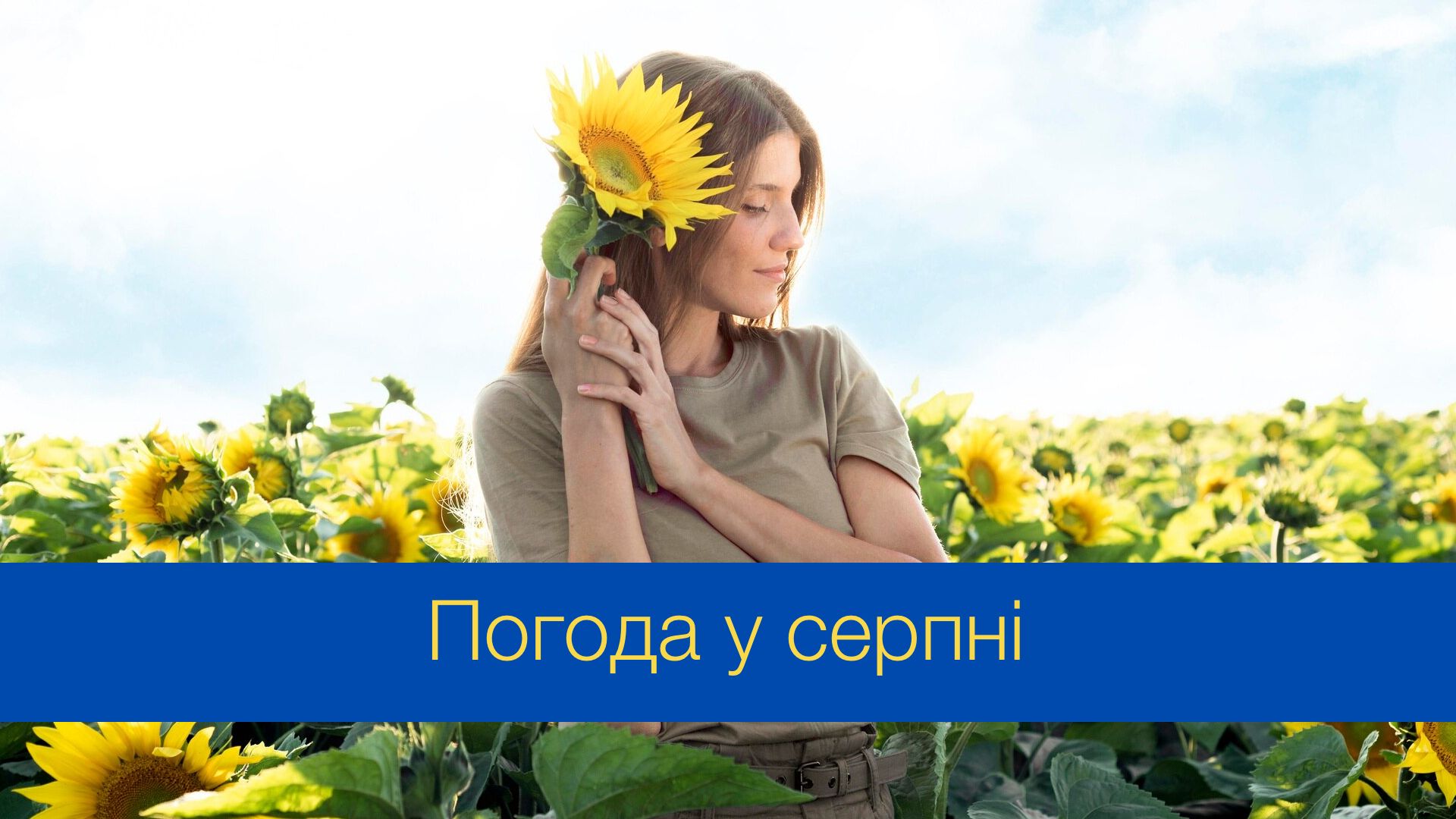 Погода у серпні 2024 в Україні – прогноз синоптиків на місяць
