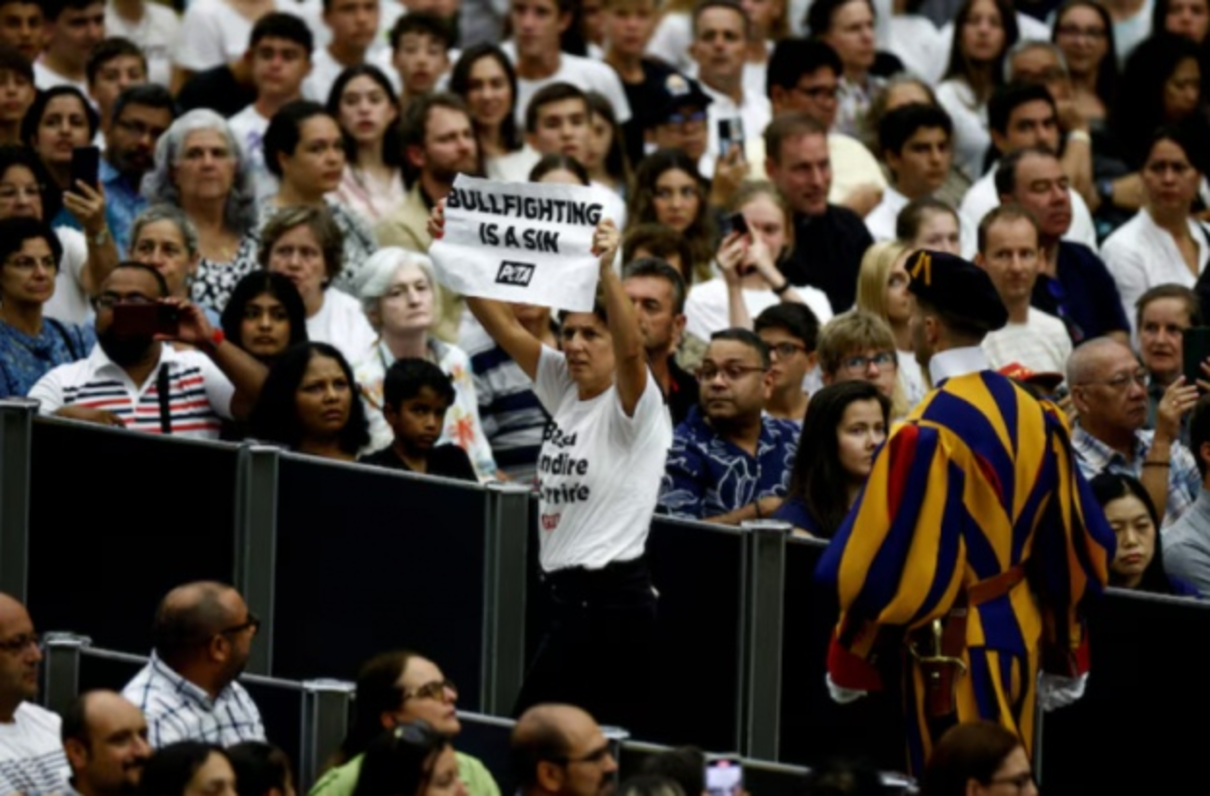 Зоозахисниці перервали щотижневий захід за участю Папи у Ватикані