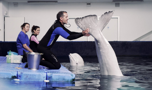 Білуха - фото 544685