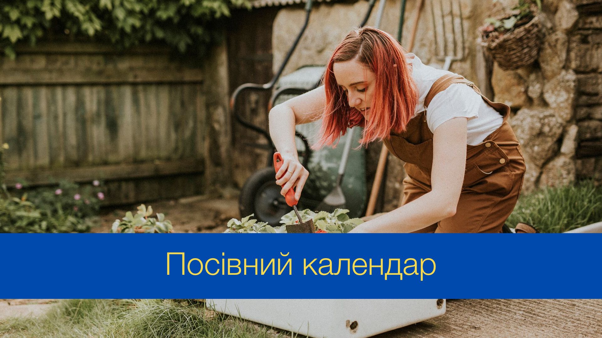 Посівний календар для городника на вересень 2024 - фото 1