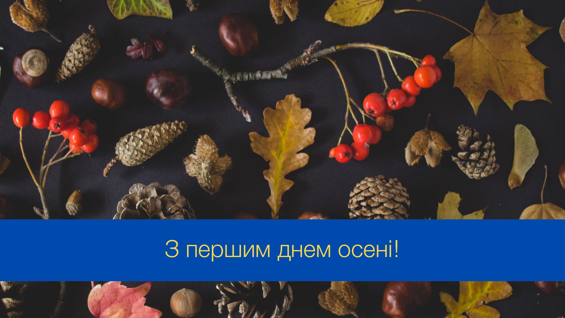 Перший день осені: красиві привітання у картинках, які сподобаються кожному