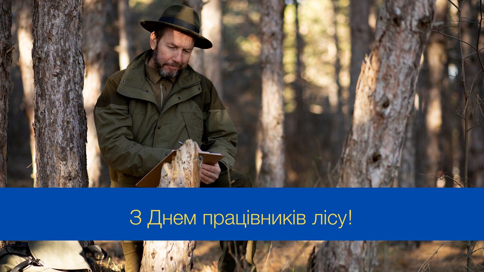 Нехай природа дарує вам натхнення та спокій: привітання з Днем працівників лісу