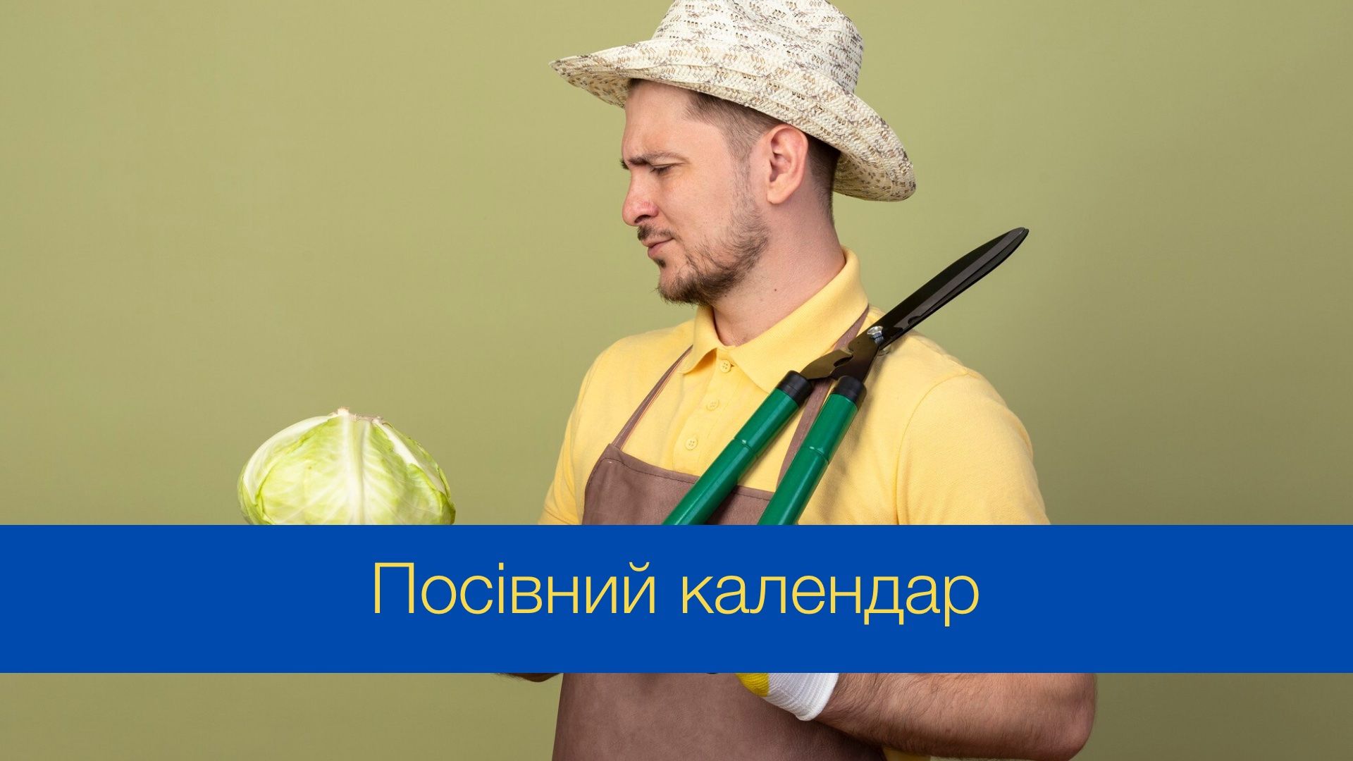 Посівний календар для городника на жовтень 2024 - фото 1