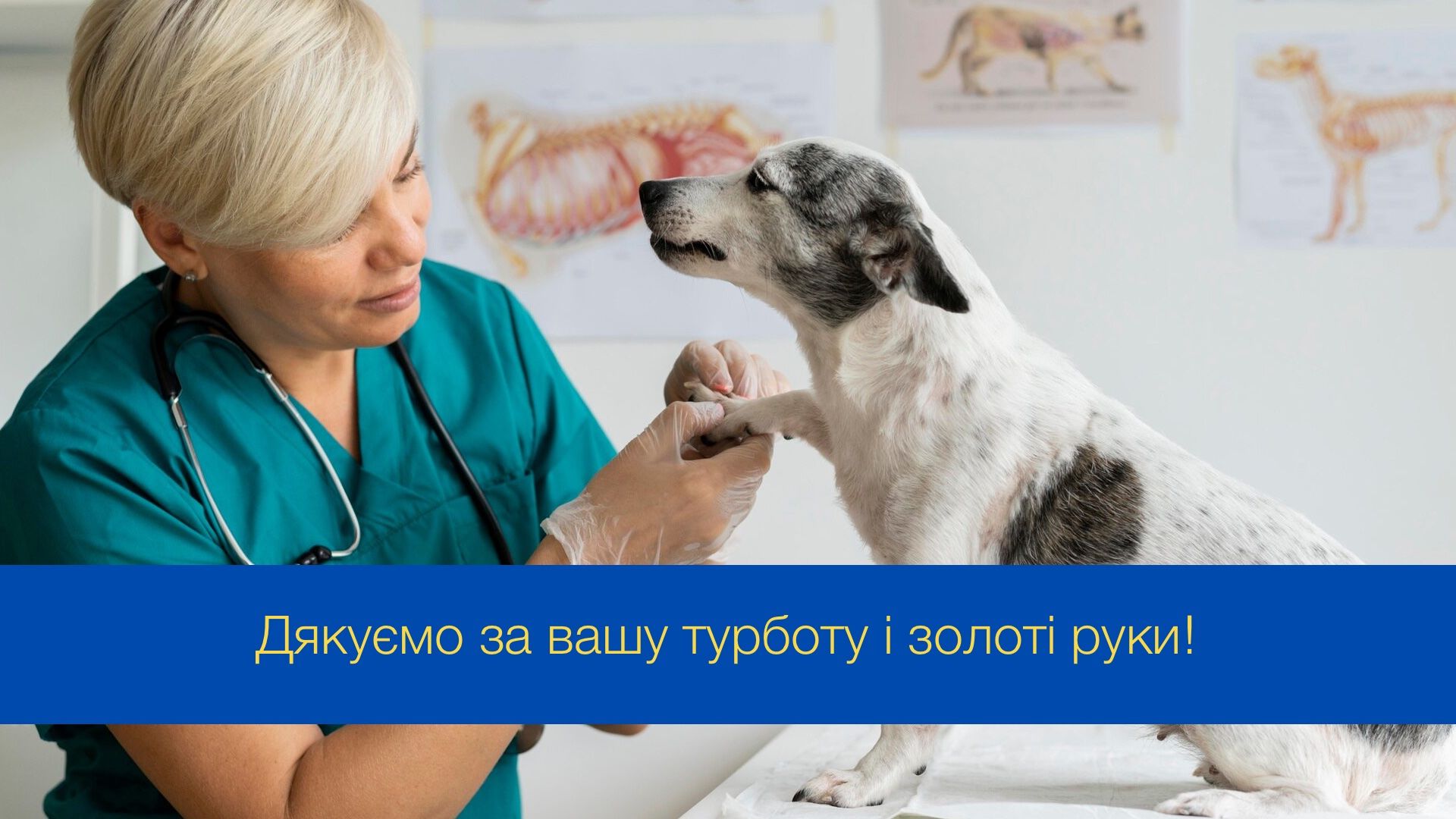 Дякуємо за вашу турботу: привітання з Днем ветеринарної служби в Україні