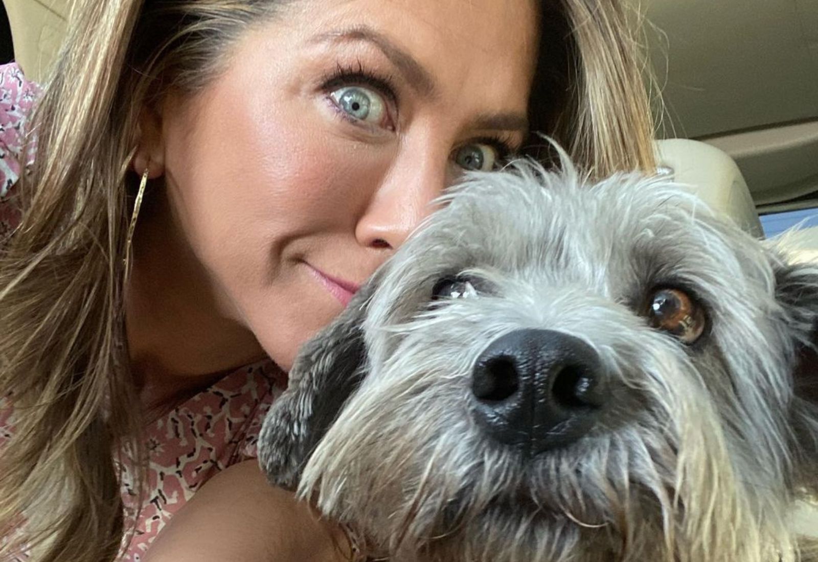 Акторка Дженніфер Еністон прочитала свою книгу улюбленим собакам