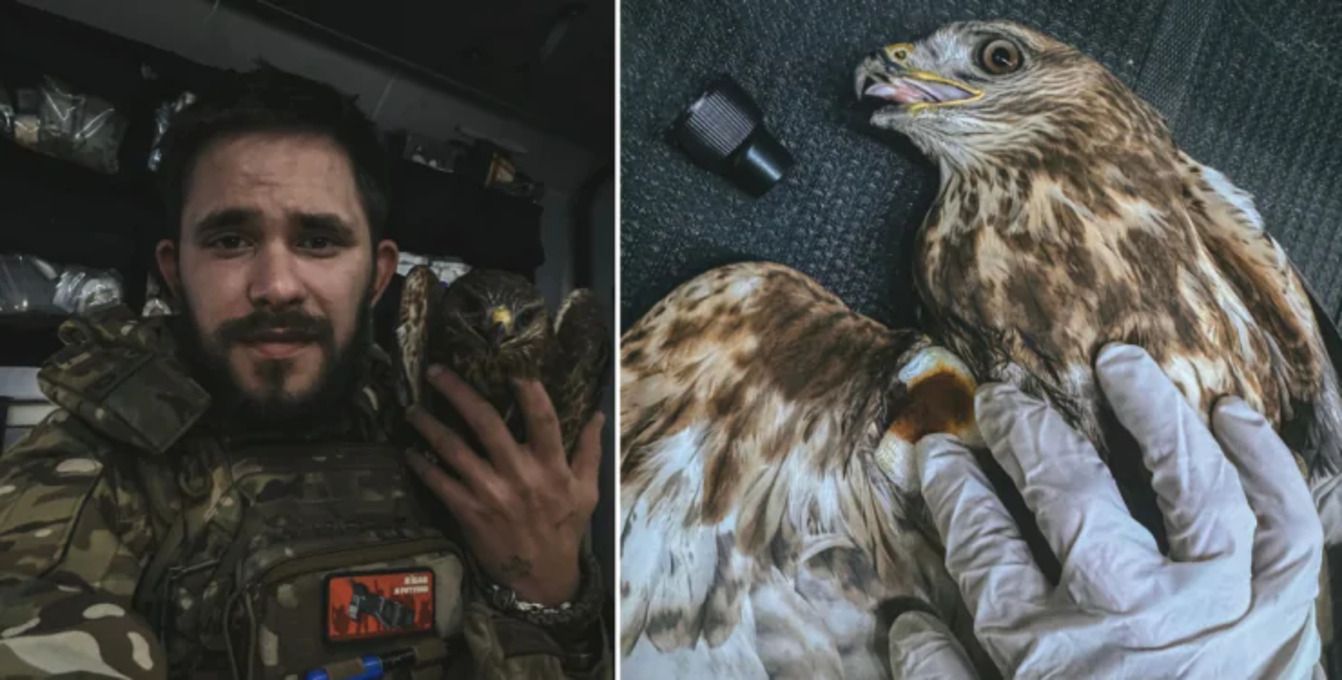 Бойовий медик "Віцик" - фото 1