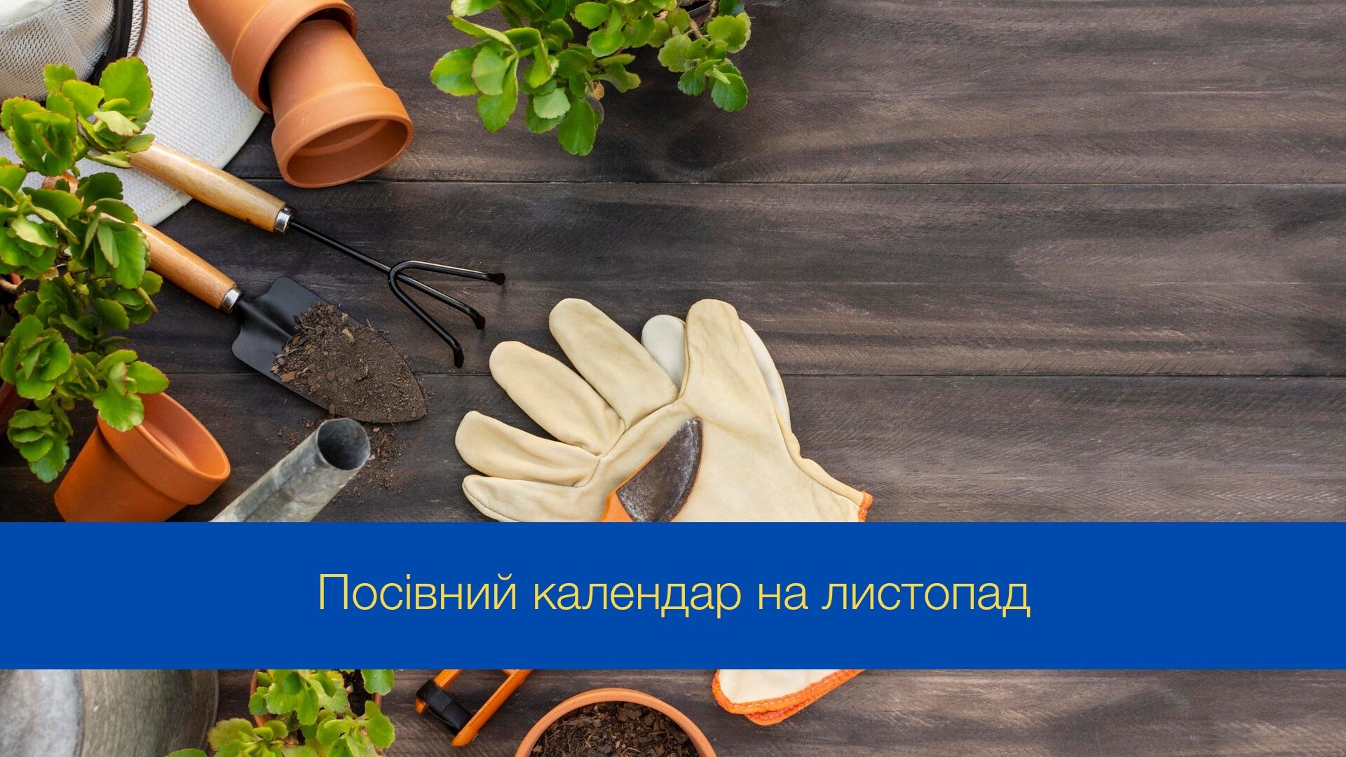 Місячний посівний календар на листопад 2024 – коли і що садити
