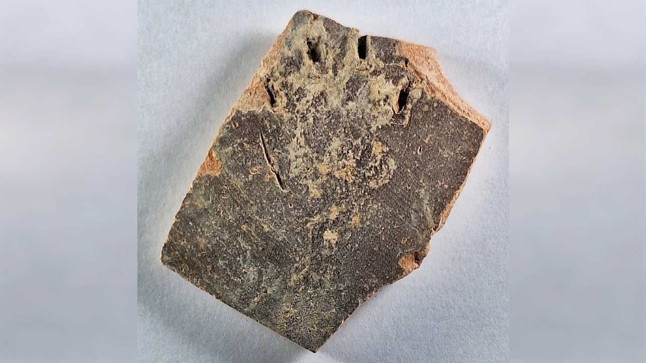 Глечик з відбитком лапи кота - фото 1