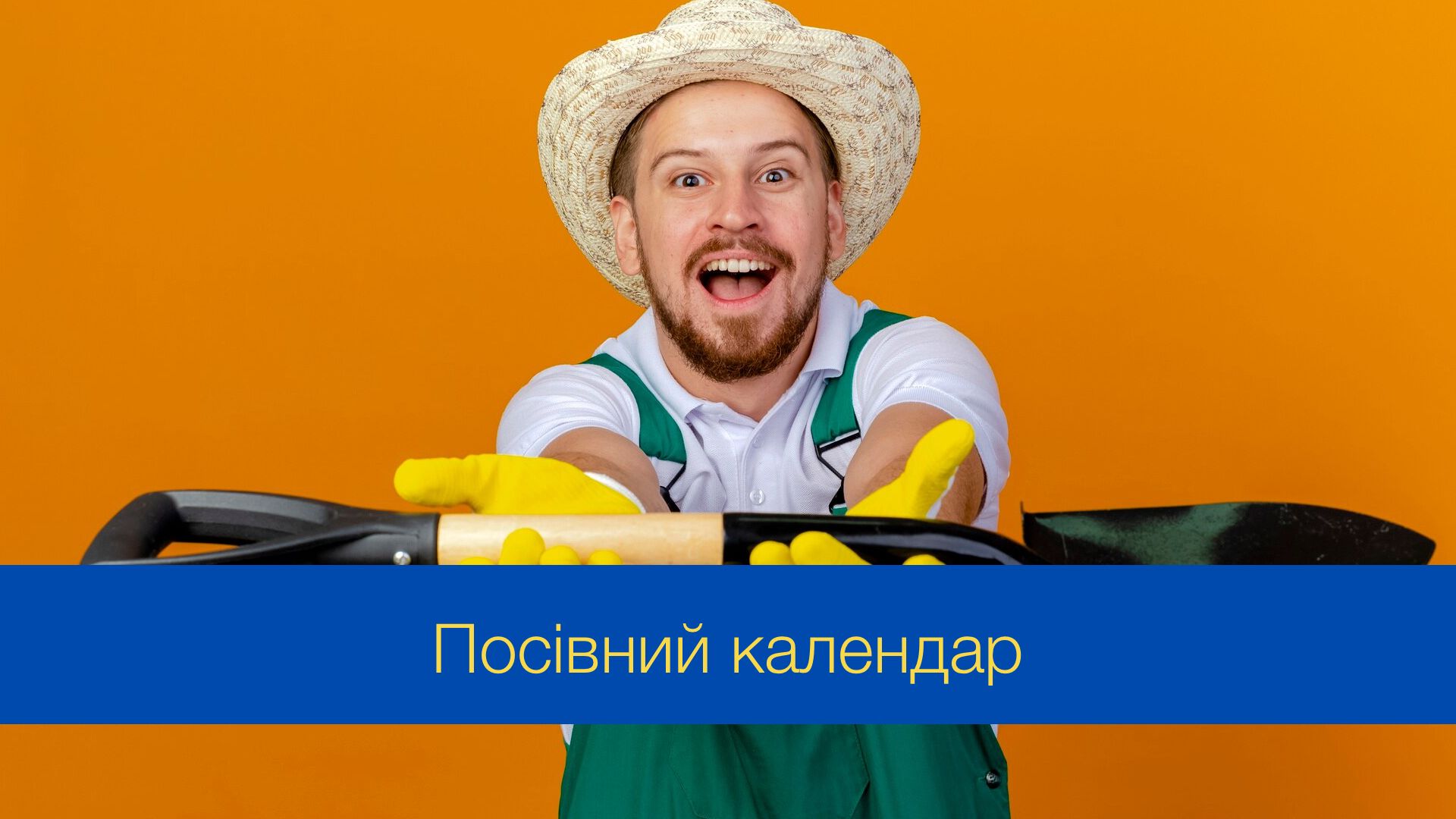 Місячний посівний календар на грудень 2024 – коли і що садити
