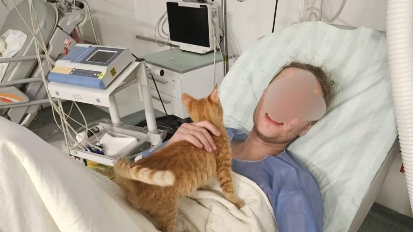 Кошеня врятувало життя українцю - фото 1