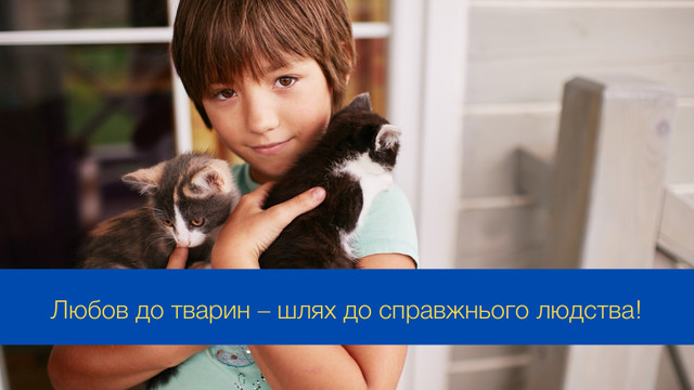 Подаруймо їм любов: привітання у Міжнародний день прав тварин - фото 549469
