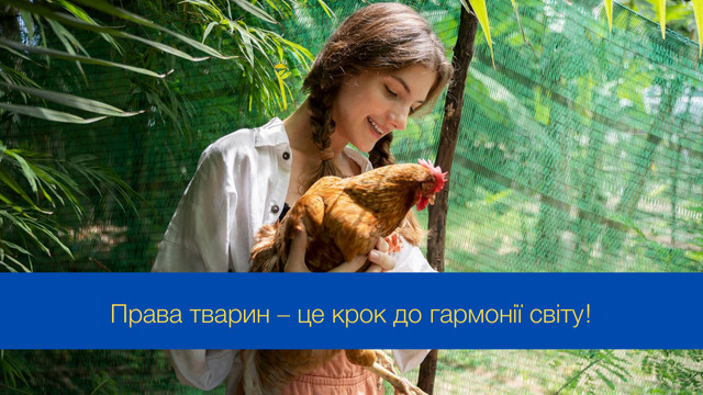 Подаруймо їм любов: привітання у Міжнародний день прав тварин - фото 549470