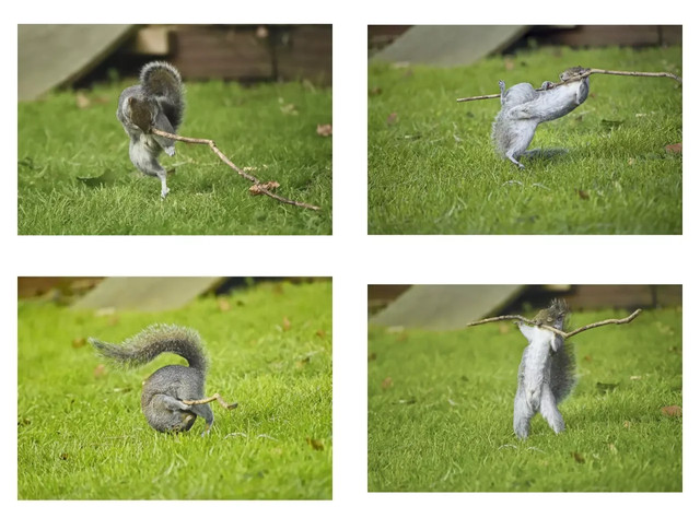 Інтернет Портфоліо - фото 549577