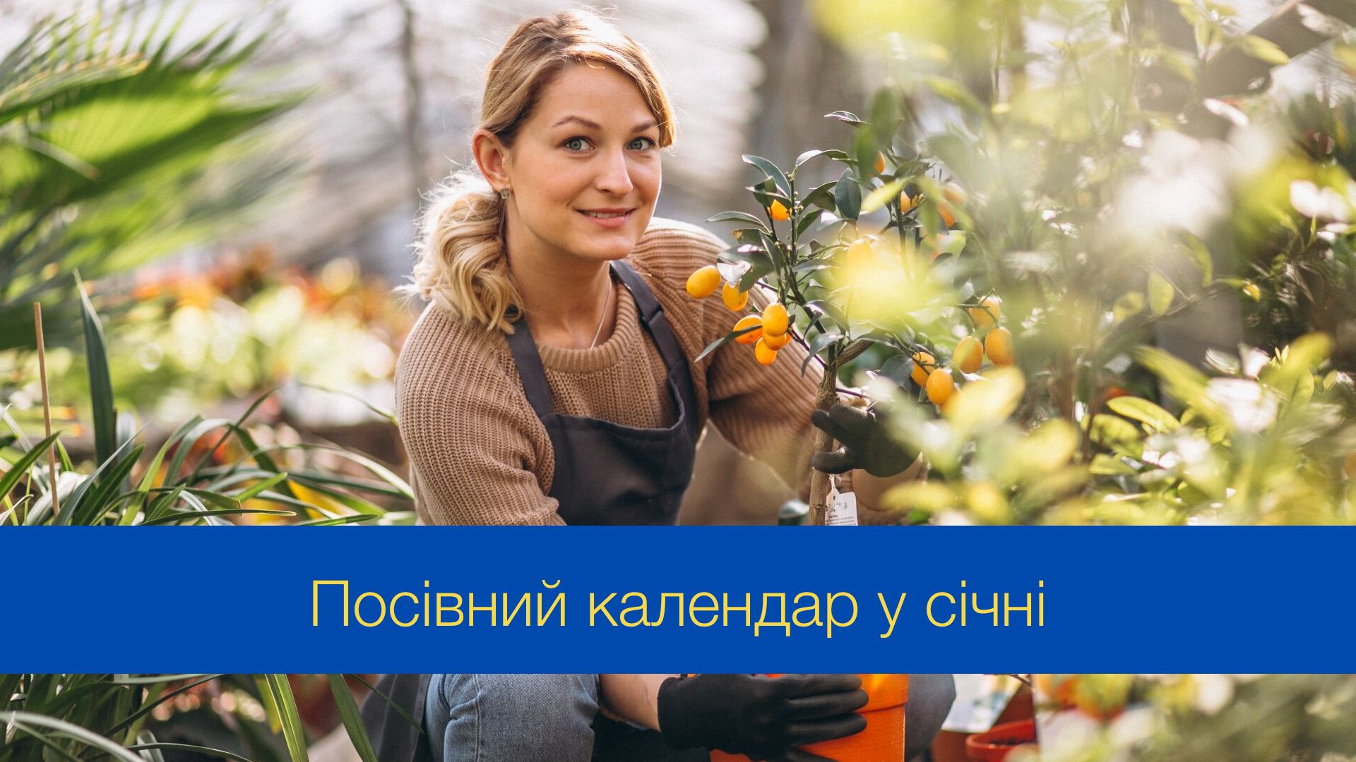 Місячний посівний календар на січень 2025 – коли і що садити