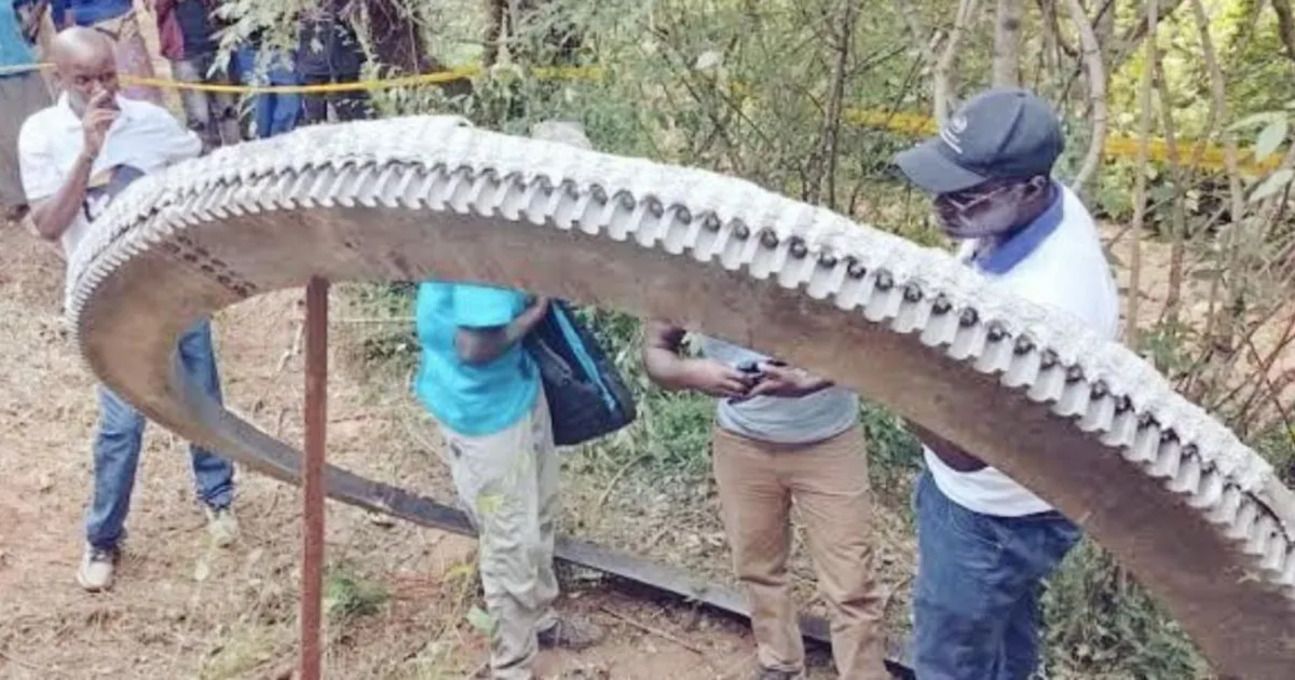 Cталеве кільце - фото 1