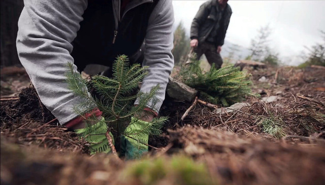 'Бартка' - фото 550306