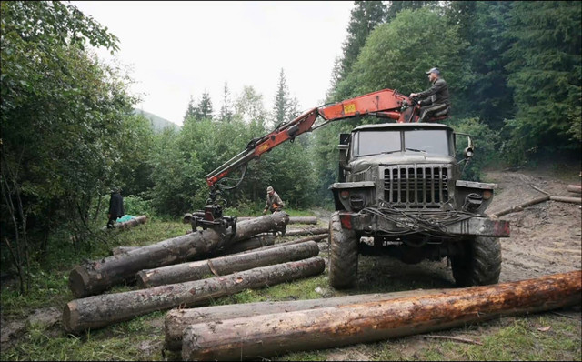 'Бартка' - фото 550307