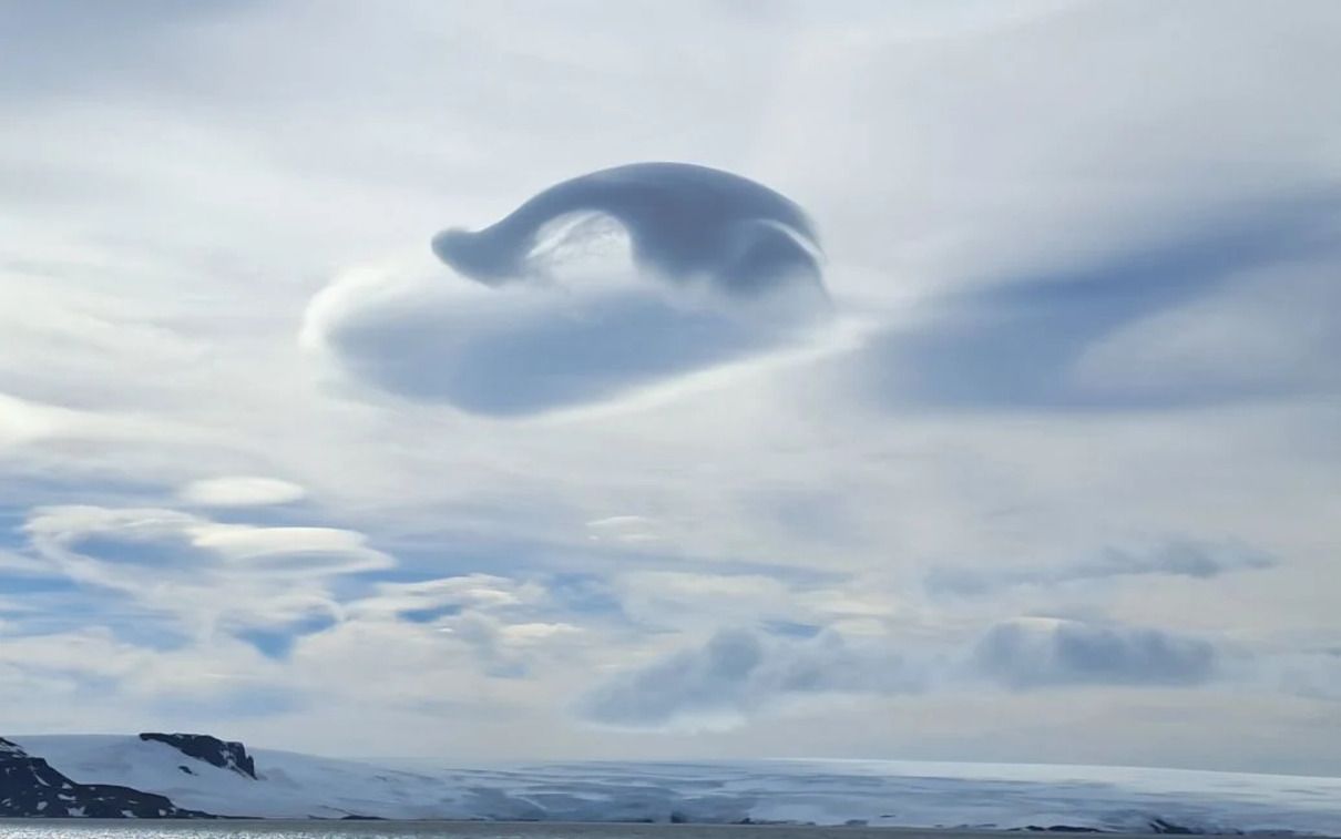 "Небесний кит". - фото 1