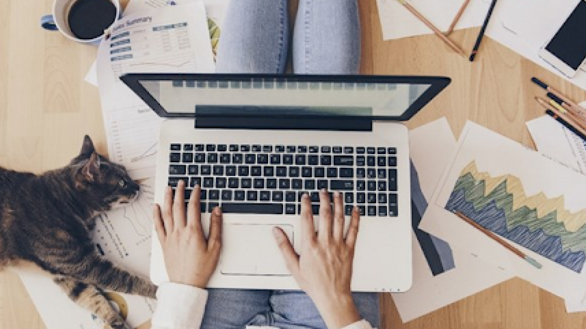 Чим сьогодні цікава віддалена робота