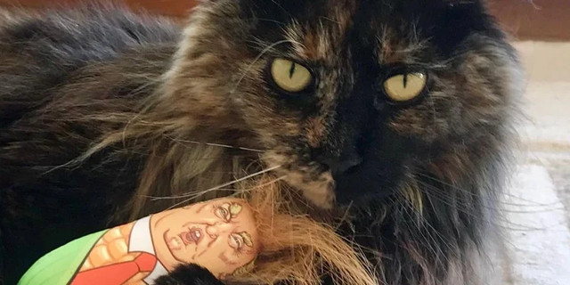 Кіт Міттенс - фото 550913