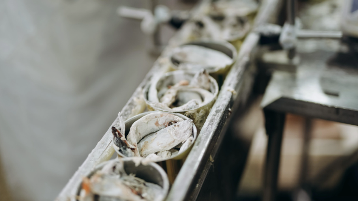 Консервування морепродуктів: Інтеррибфлот на шляху від історичного винаходу до сучасності