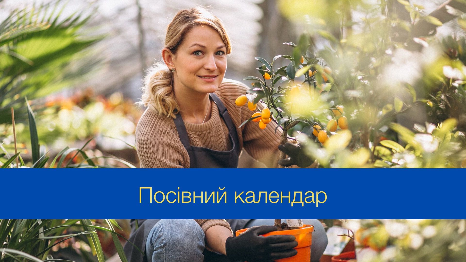 Місячний посівний календар на лютий 2025 – коли і що садити