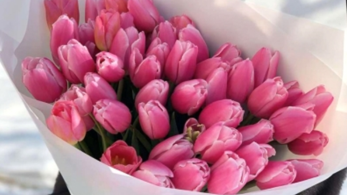 Букет тюльпанів з доставкою на 8 березня