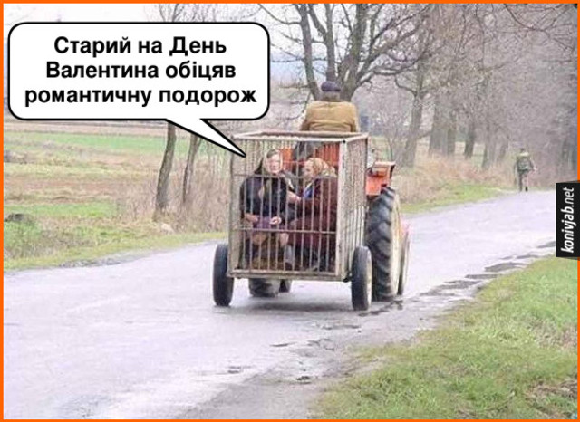 Смішні меми на Валентина - фото 551485
