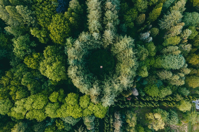 Неймовірно красивий сад Арборетум у селі Страдч - фото 551553