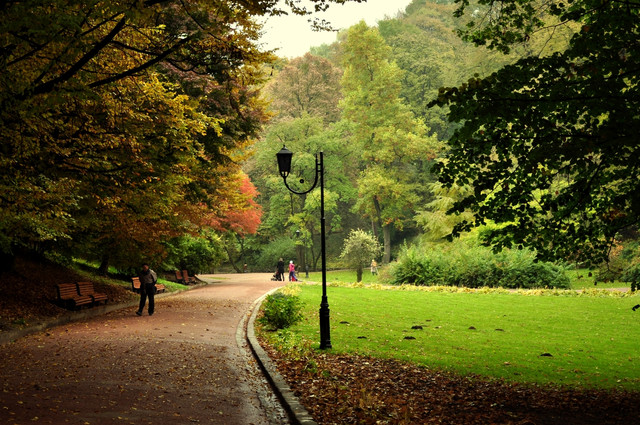 Стрийський парк - фото 551625