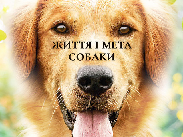Фільм 'Життя і мета собаки' - фото 551704