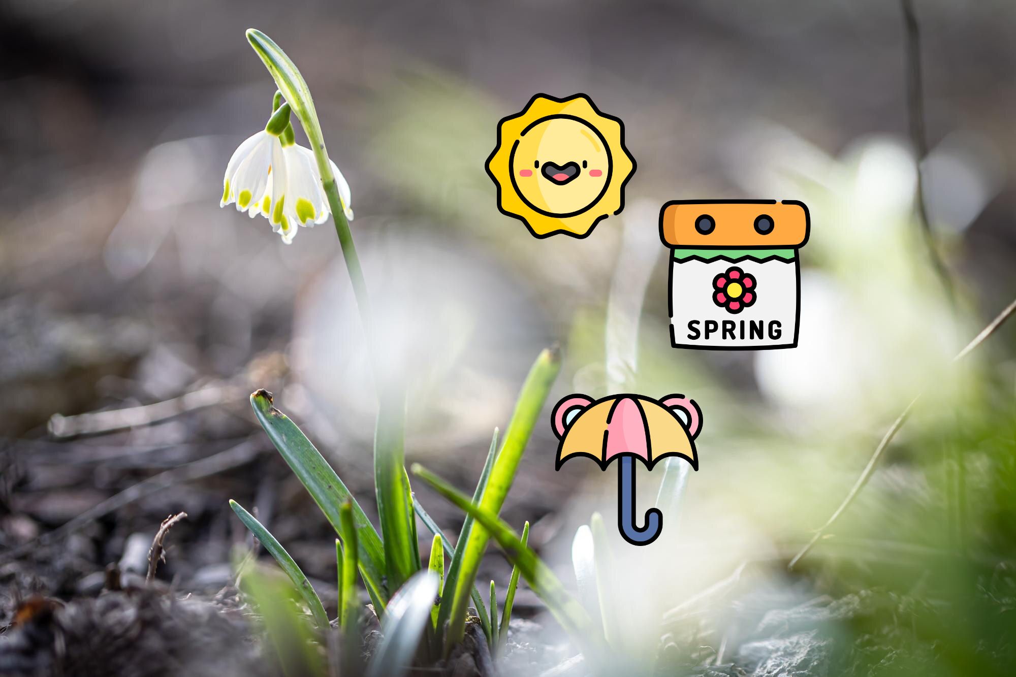 Якою буде погода у березні та чи варто ховати зимові куртки: прогноз на початок весни