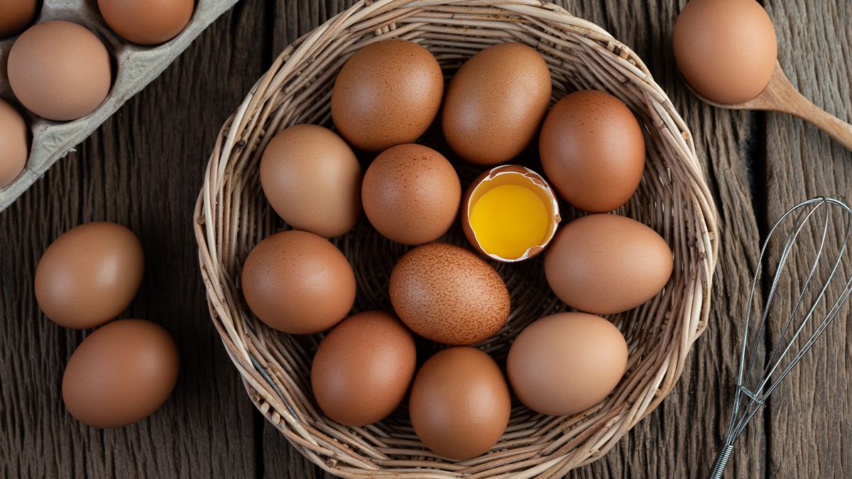 Чим корисні яйця для людини - фото 1