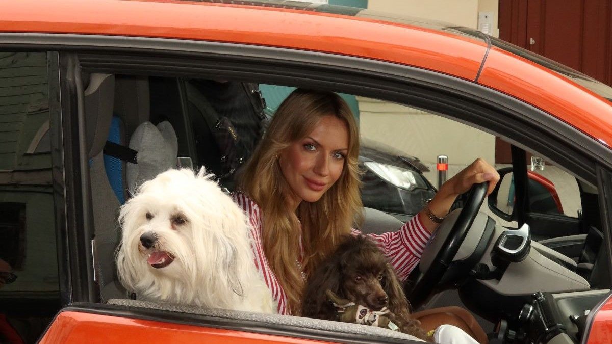 Кадр з фільму "Песики" - фото 1