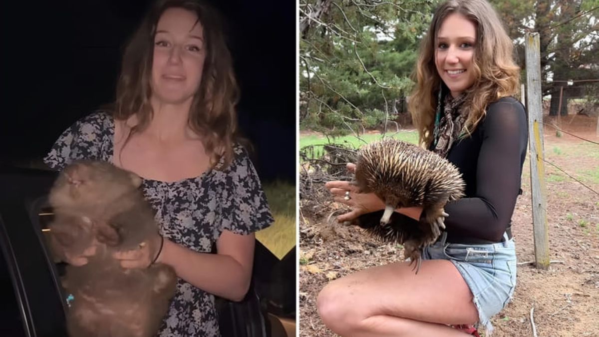 Сем Джонс - фото 1