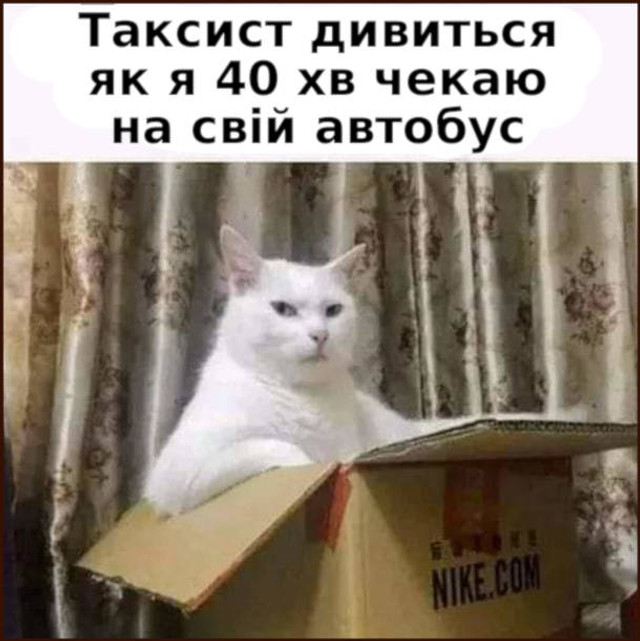 Найкращі меми та анекдоти про таксистів- фото 553489