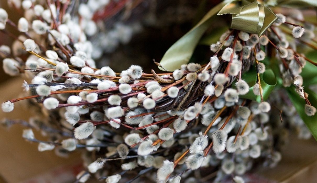 Вербна неділя – це одне з найважливіших свят у християнському календарі - фото 1