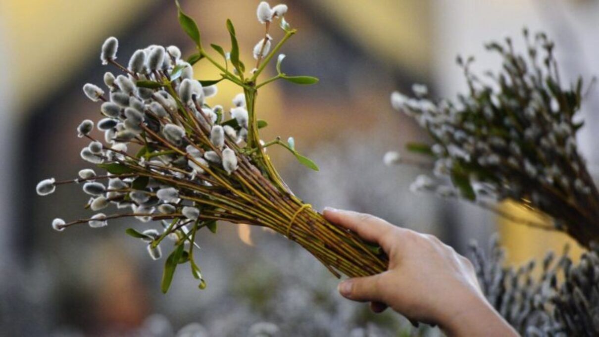 Навіщо освячують вербу і що з нею робити після Вербної неділі: цікаві факти - фото 1