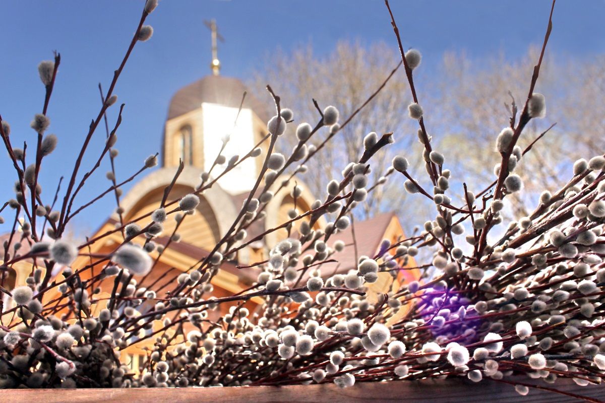 Погода в Україні на Вербну неділю 2025 – прогноз погоди на 13 квітня