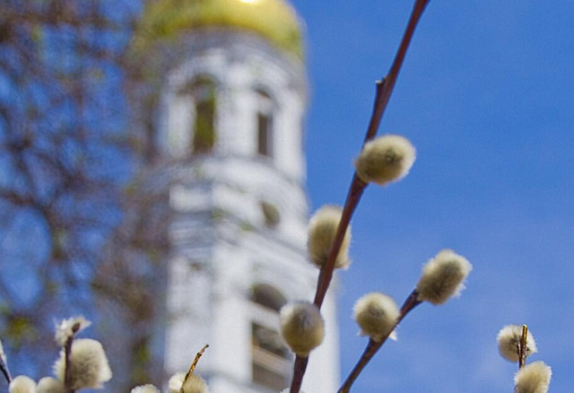 Лазарева субота в Україні 2025 року- фото 554652